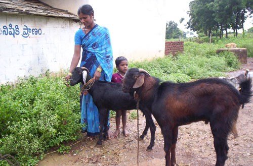Kinderprojekt Fülle für Alle